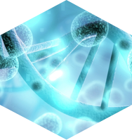 Nitrotyrosine Test